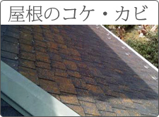 屋根のコケ・カビ
